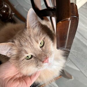 Meet your Posher, Valerie